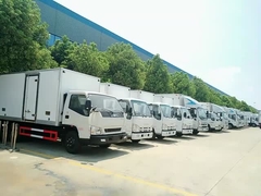 camions d'aliments surgelés d'i/suzu à vendre